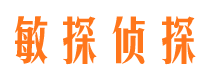 囊谦捉小三公司